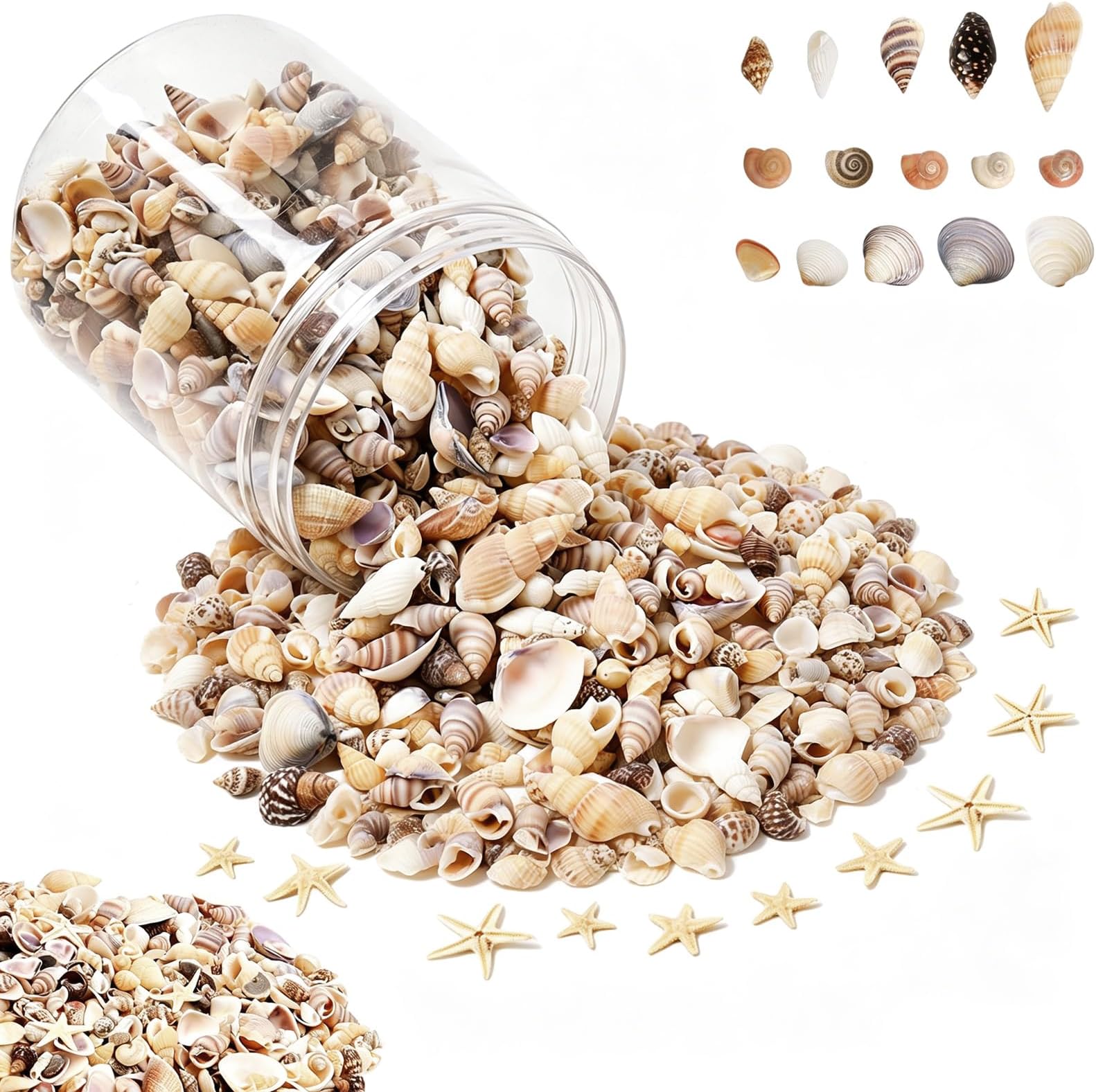 1200 Pieces Tiny Sea Shells Small Natural Starfish Mixed Ocean Beach Spiral Seashells for Home Decorations,Wedding Decor,Candle Making,Beach Theme Party,DIY Crafts and Vase Filler