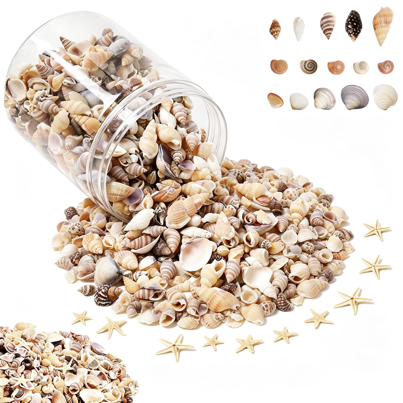 1200 Pieces Tiny Sea Shells Small Natural Starfish Mixed Ocean Beach Spiral Seashells for Home Decorations,Wedding Decor,Candle Making,Beach Theme Party,DIY Crafts and Vase Filler