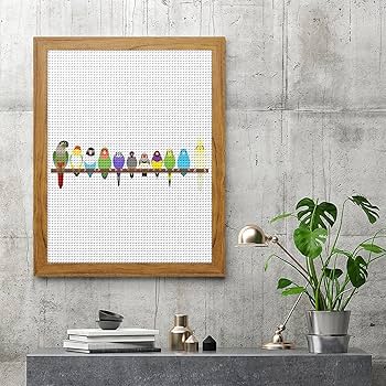 Amazon | 可愛い 鸚哥 インコ 鳥 鳥柄 ダイヤモンドアート 5D