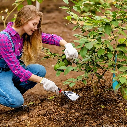 Miniatura 7 de 6 piezas de pala de suelo multiuso dentada de acero inoxidable para jardín, paleta de metal, herramienta de jardín, pala de mano para jardinería,