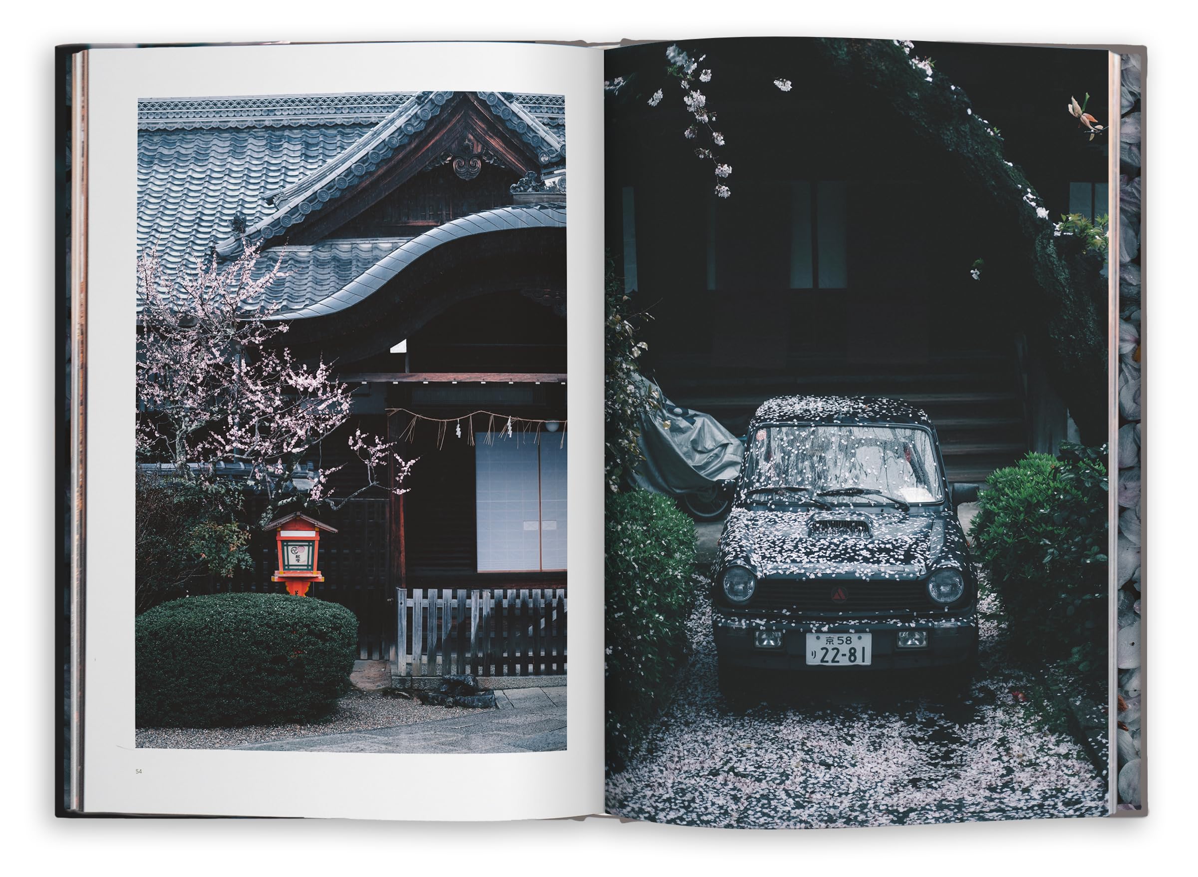 Kyoto Dreaming