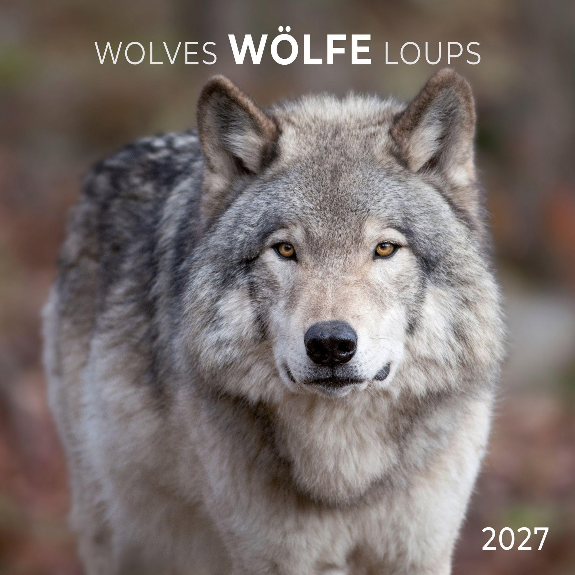 Wölfe / Wolves 2027: Kalender 2027