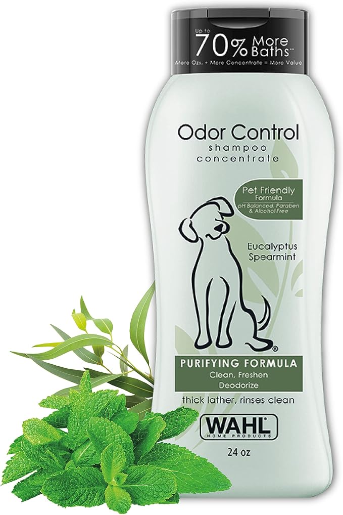 The 12 Best Dog Shampoos For Odor Control