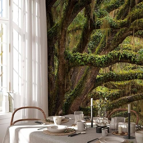 Miniatura 6 de artgeist Mural de pared Bosque 173 x 124 pulgadas - Papel tapiz autoadhesivo removible de gran tamaño para decoración de pared, diseño de imagen,