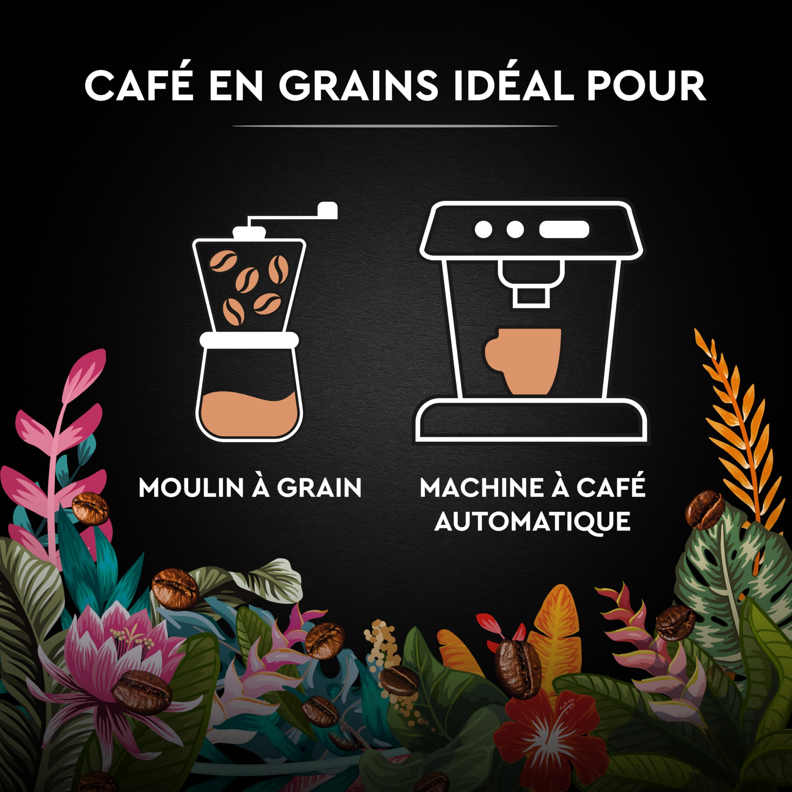 Carte Noire Secrets de Nature Grains 2X1kg MIX