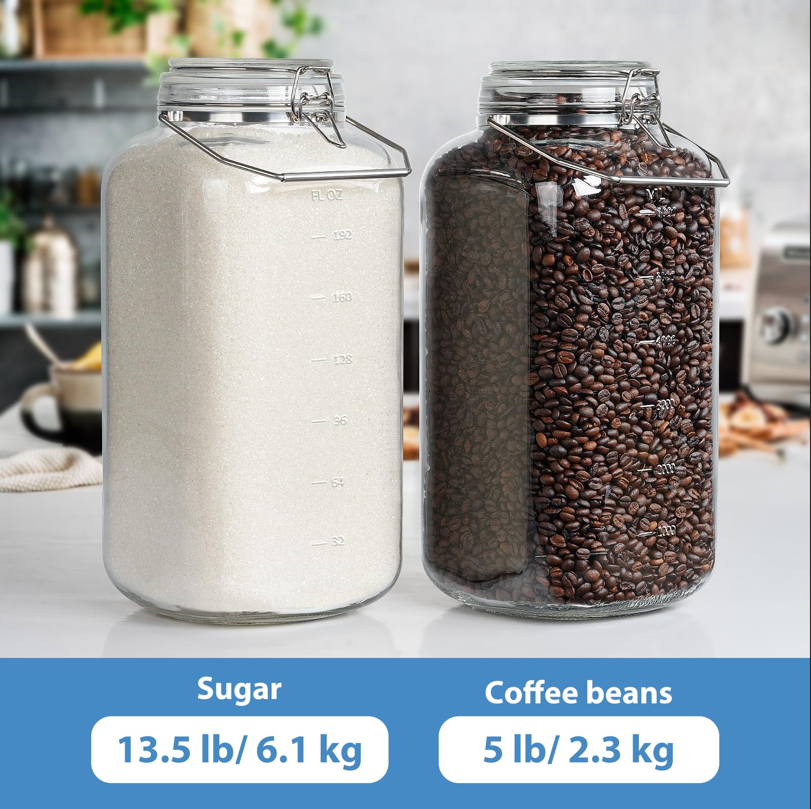 Bocal en verre de 7,8 l avec couvercle hermétique, 1 lot de bocaux de rangement en verre avec poignée en acier inoxydable robuste (70 ml), bocal à large ouverture, récipient de stockage pour riz,