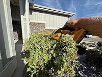 Review Image by Robert Robert