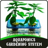 Aquaponics Gardening System Aquaponics Gardening System
