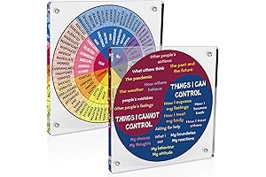 2-Piece Acrylic Feelings Wheel Keychain: Express Emotions with Clarity