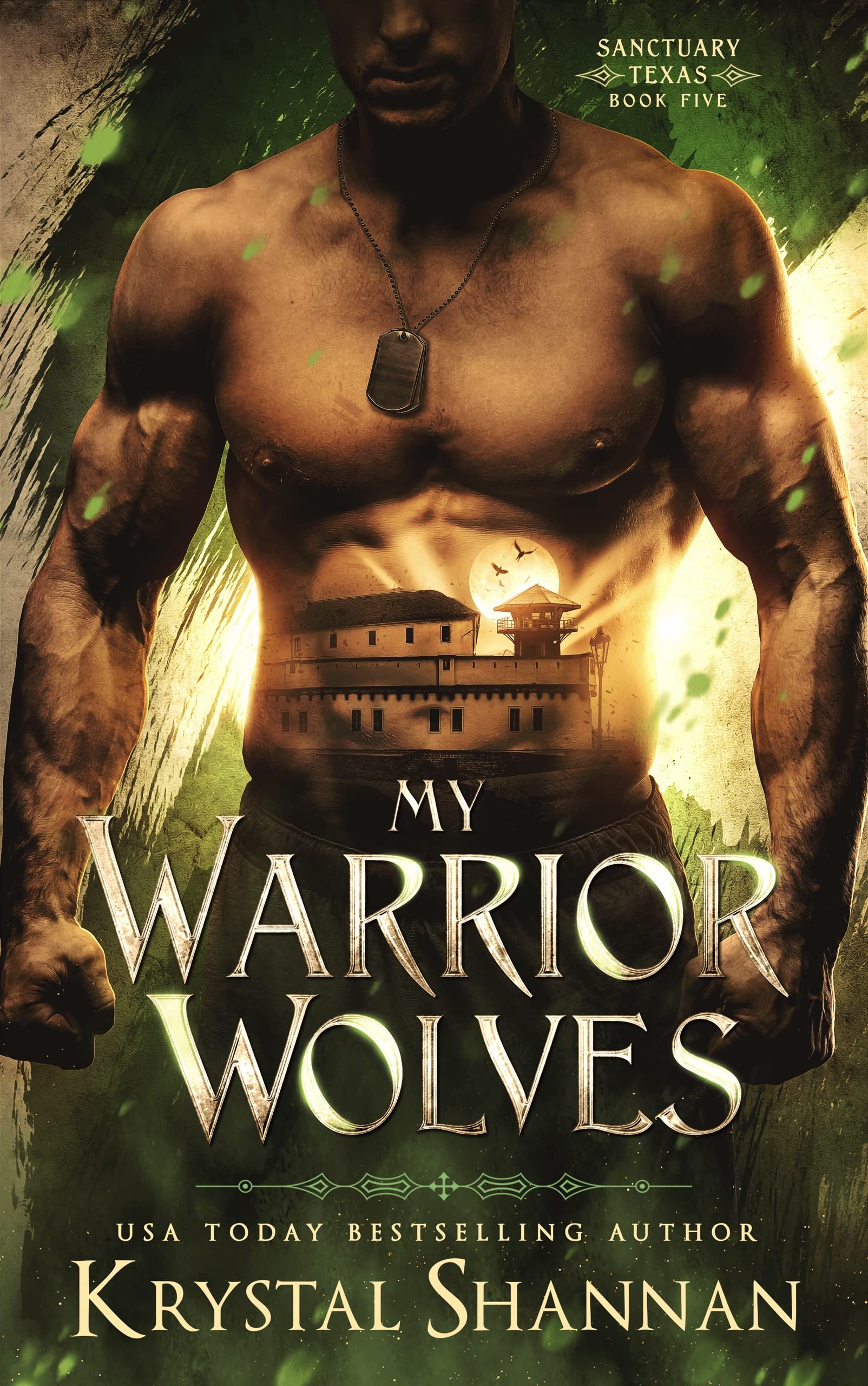 My Warrior Wolves: A fated mate wolf shifter fantasy romance (Sanctuary, Texas Book 5)