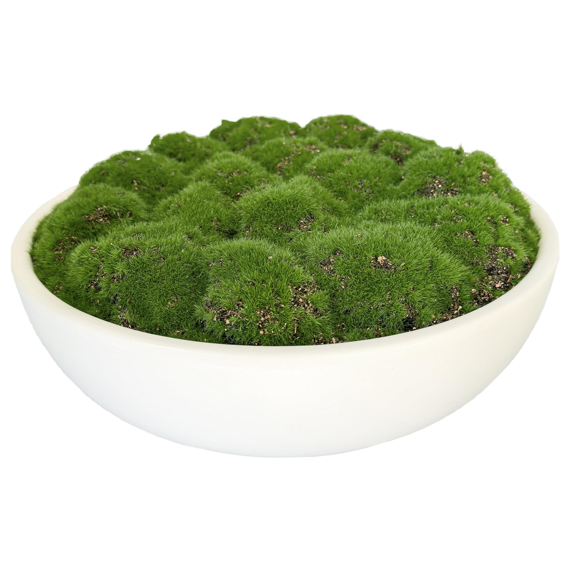 Macomine Design Moss Bowl | 10