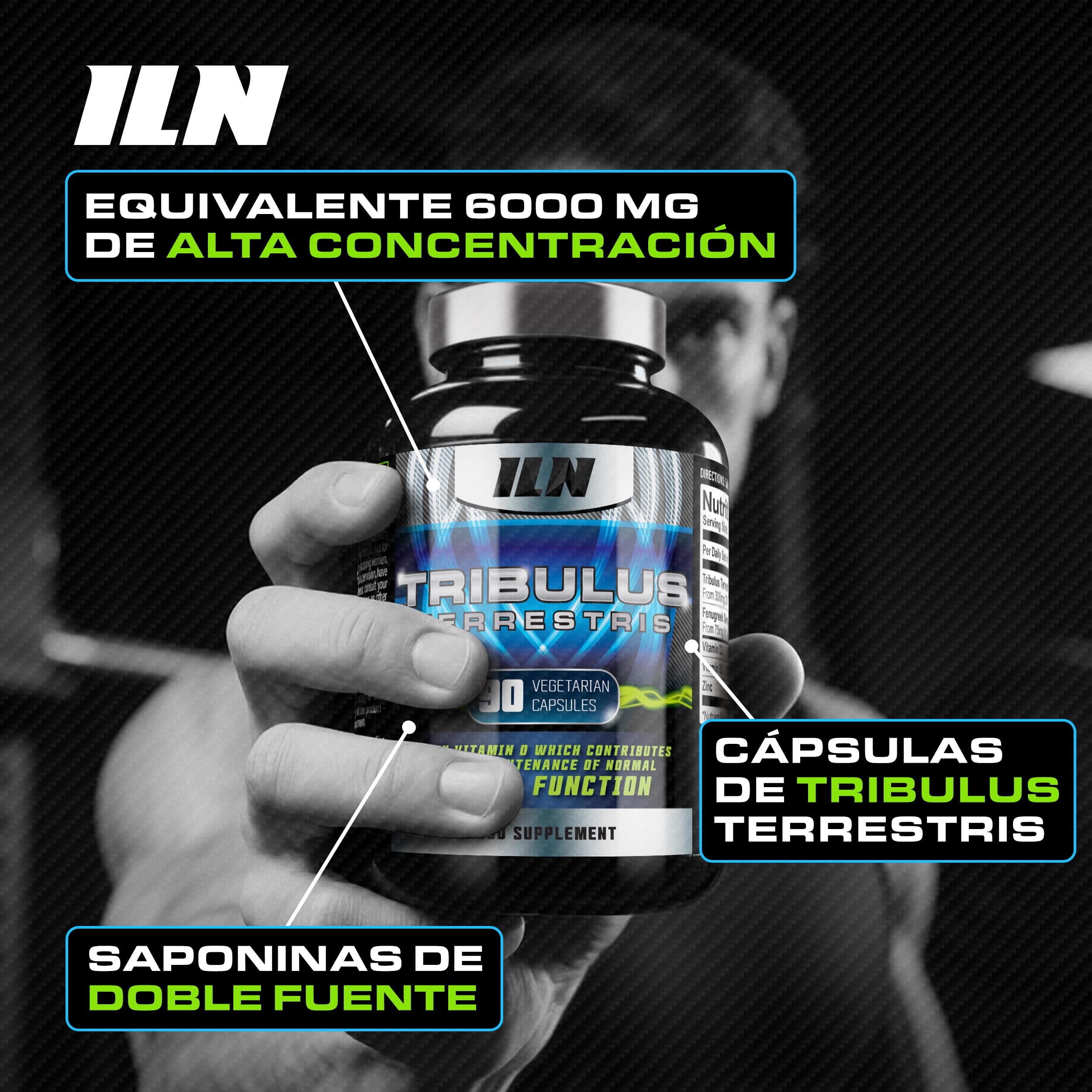 ILN - Tribulus terrestris equivalente a 6000 mg, 98% saponinas - suplemento unisex, 90 cápsulas vegetarianas