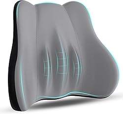 kasney Lumbar Support Pillow