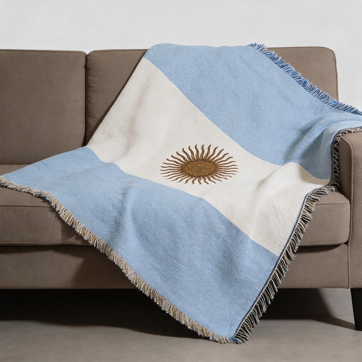 Pure Country Weavers Argentina Flag Blanket - Gift Tapestry Throw Woven from Cotton - Made in The USA (69x48)