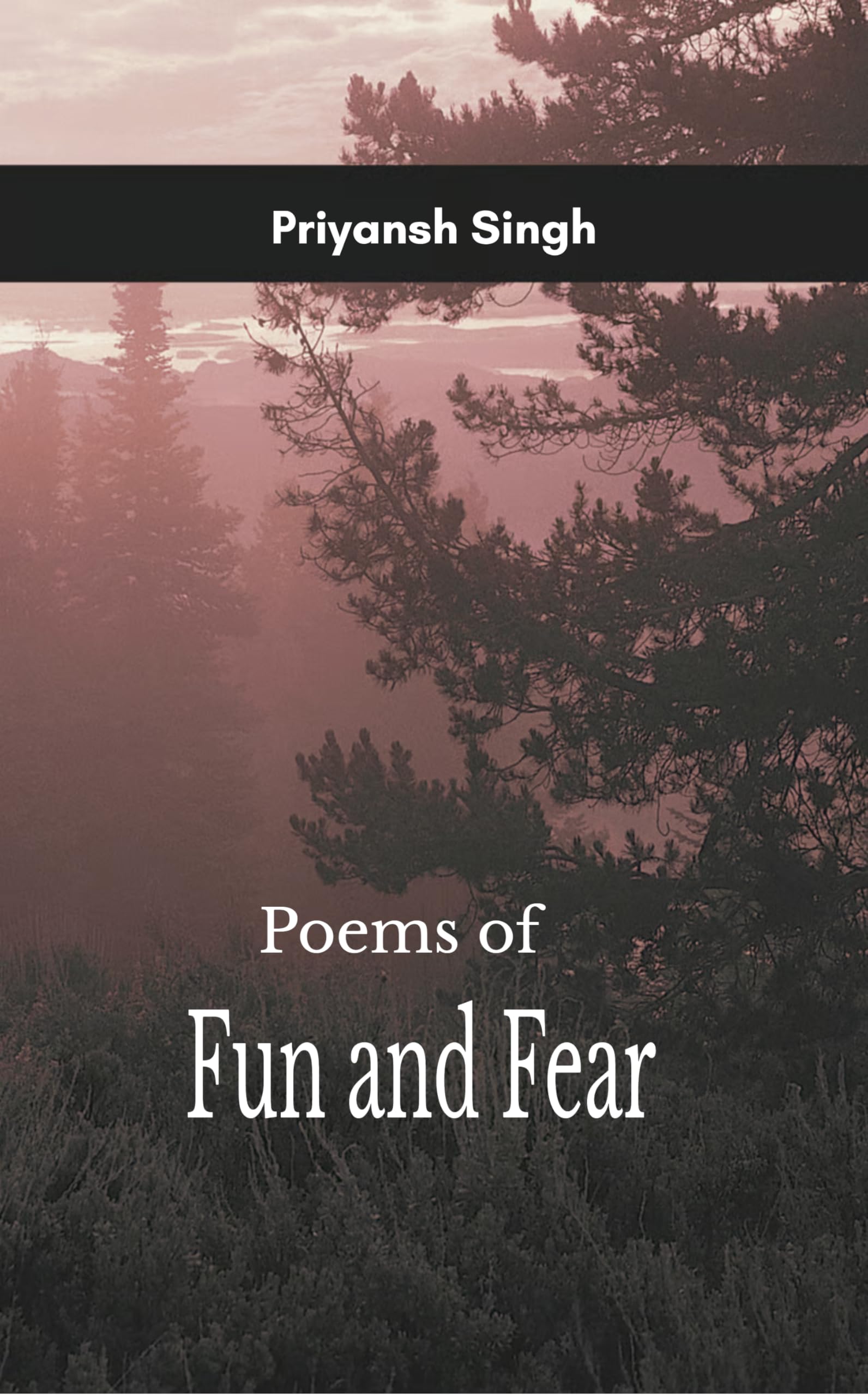 Poems of Fun and Fear A Collection