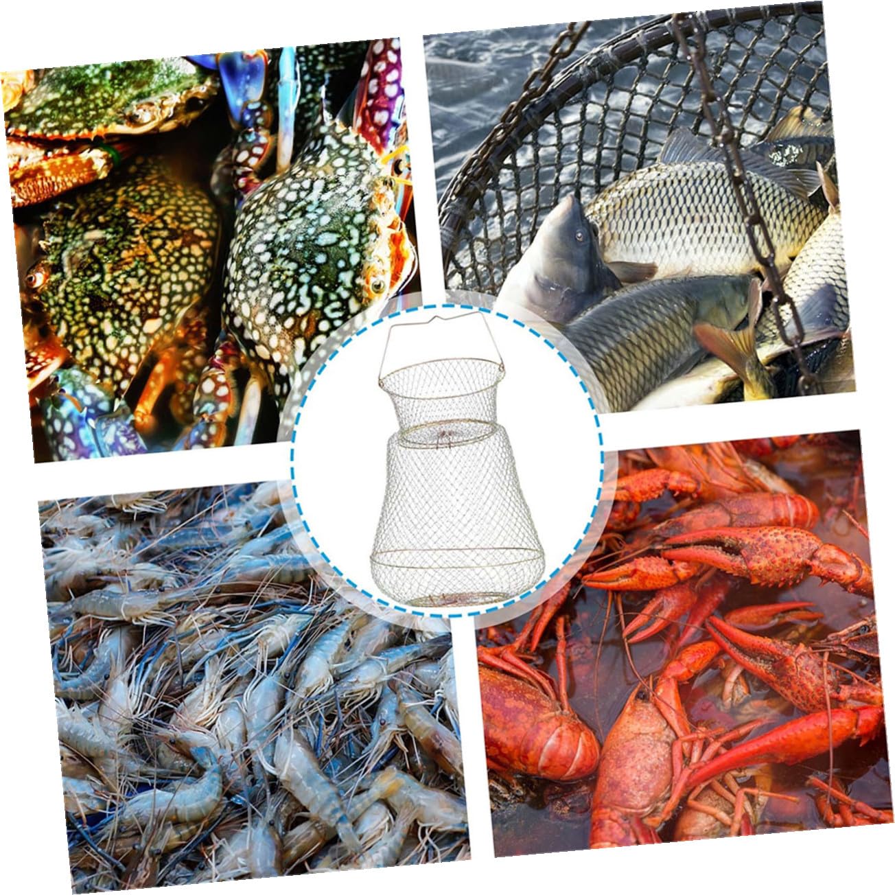 WOONEKY Gabbia Pieghevole per Pesca Dell'aragosta in Filo di Ferro, Cestino Portaoggetti per Pesci Resistente, Rete da Pesca Portatile per Viaggi e Attività All'aperto