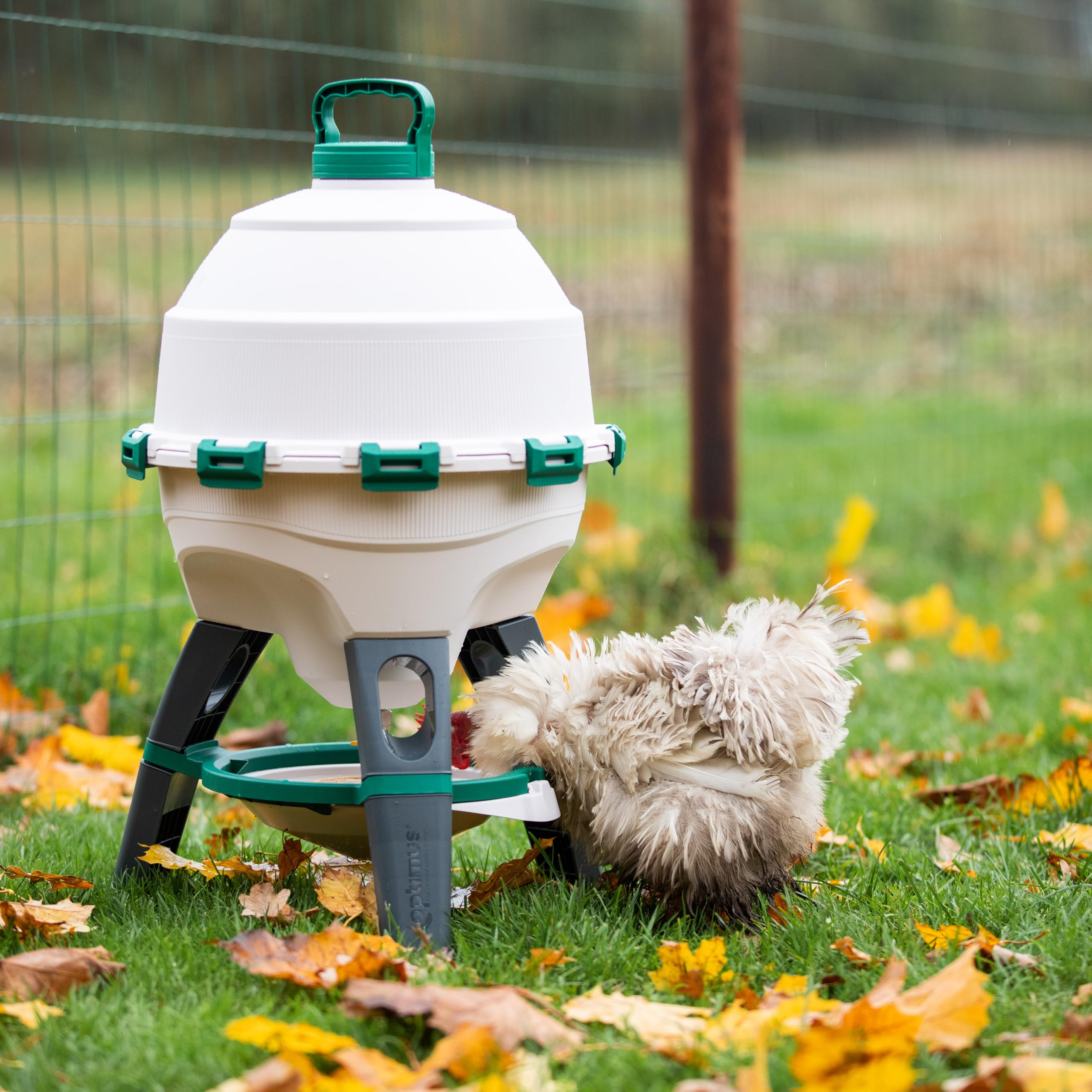 Bebedero para gallinas, pollos, patos | Capacidad 25 litros | Plástico antialgas | Fácil de limpiar | Nivel de agua ajustable