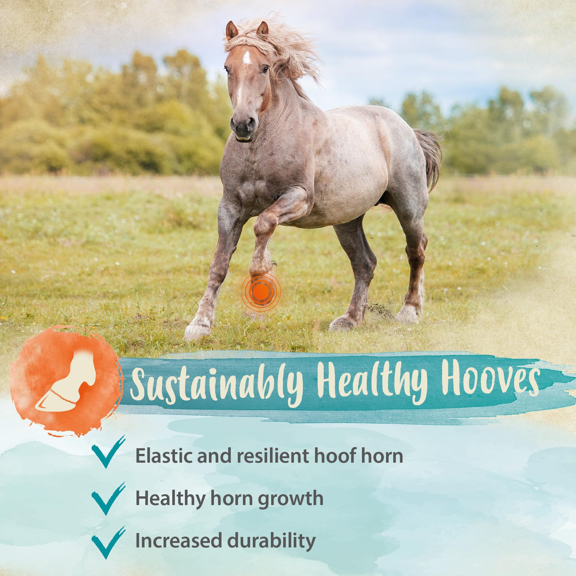 Ida Plus Biotine + Zinc - Soin complet - Hautement dosé - VAINQUEUR DU COMPARATIF - Zinc Premium pour chevaux - Améliore la qualité des sabots - Pour la peau, le pelage & le système immunitaire - 750g