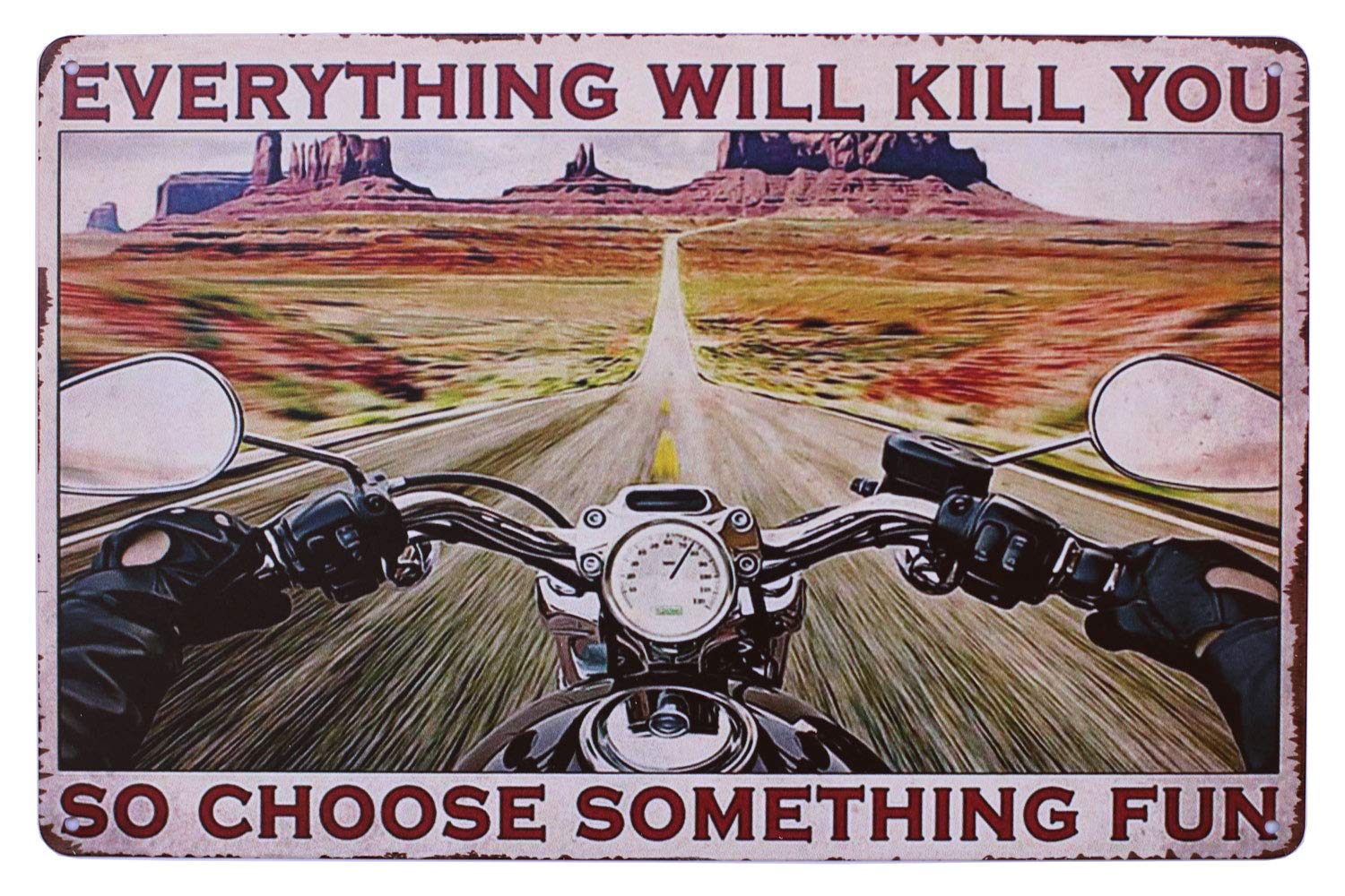 Hioni Fun Ny Saying Motorcycle Riding Route 66 Vintage Metal Wall Sign Tin Plaque Wall Decoration (Fun)