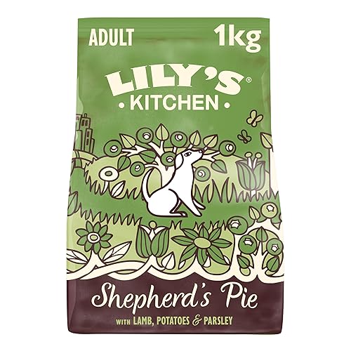 Lily's Kitchen Elaborado con ingredientes naturales alimento seco para perros adultos pasel de carne equilibrado bolsa de 1kg - Cordero - 1 kg (Paquete de 1)