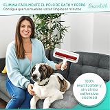 Ver la foto 4