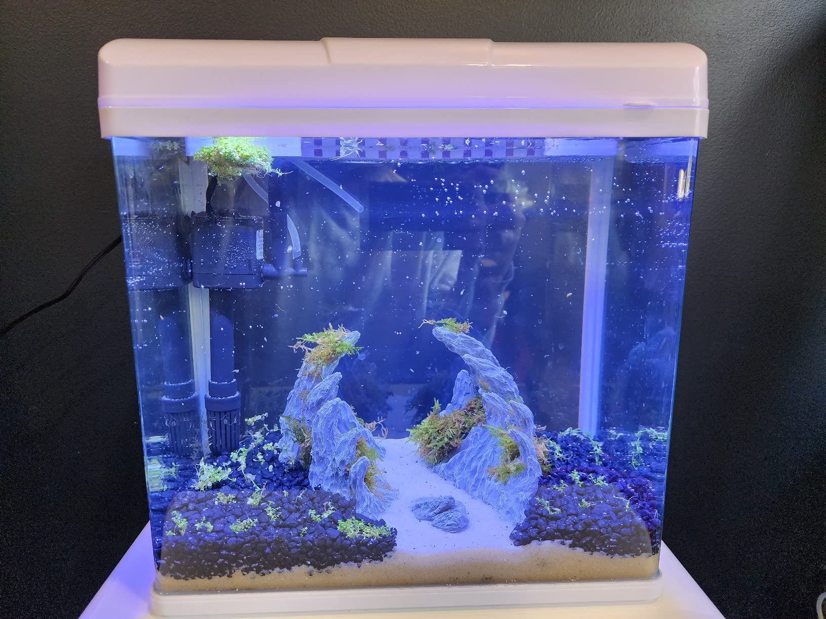 12/mo Finance PONDON 5 Gallon Fish Tank, Glass Aquarium with Air