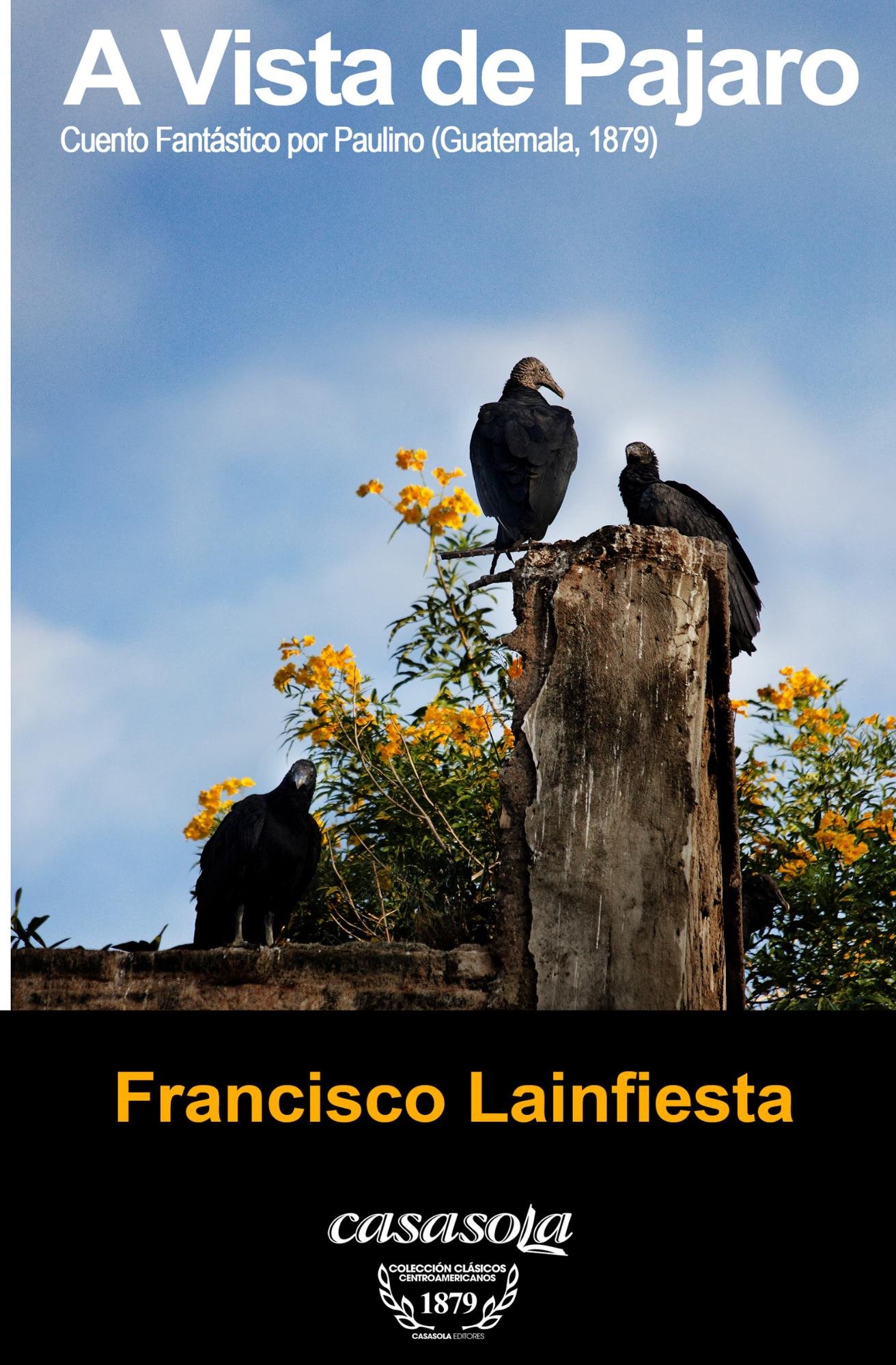 A vista de pajaro (Spanish Edition)
