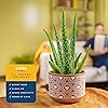 Product Photo 5