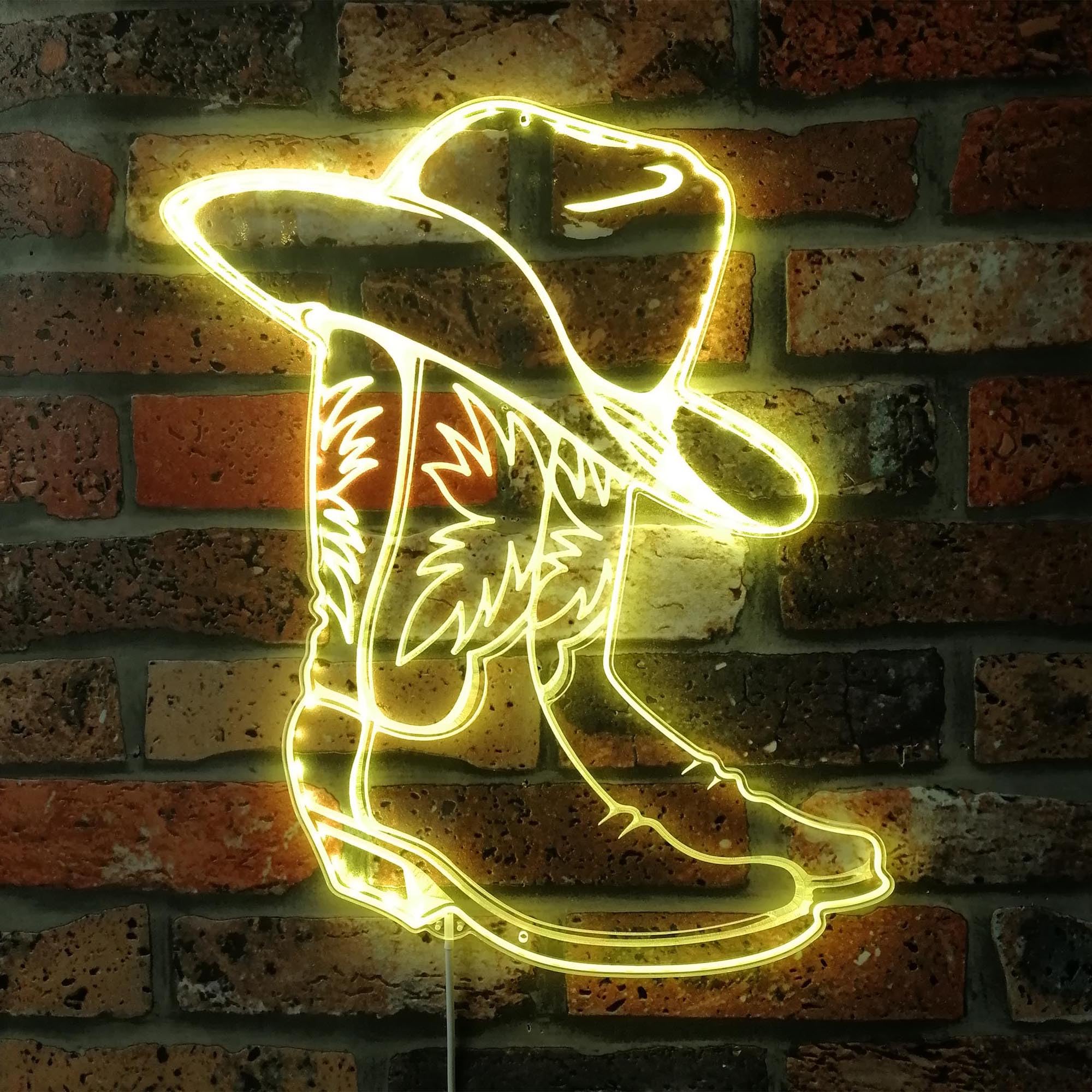 ADVPRO Cowboy Boots Western Hat RGB Dynamic Glam LED Sign - Cut-to-Edge Shape - Smart 3D Wall Decoration - Multicolor Dynamic Signage st06s86-fnd-i0297-c