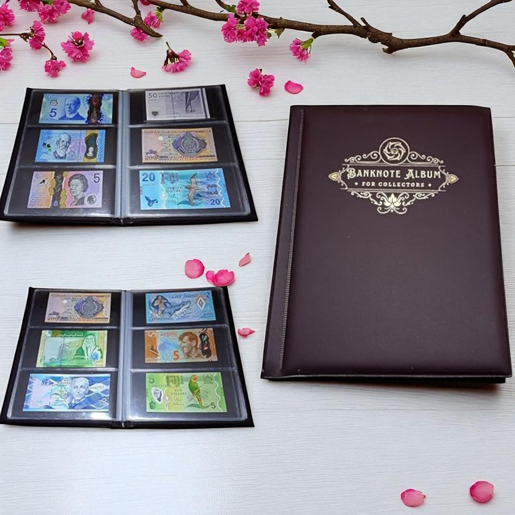 Special Minds Store Banknote Album with 60 Pockets Banknote World Currency Collecting Album (Brown)-image-31
