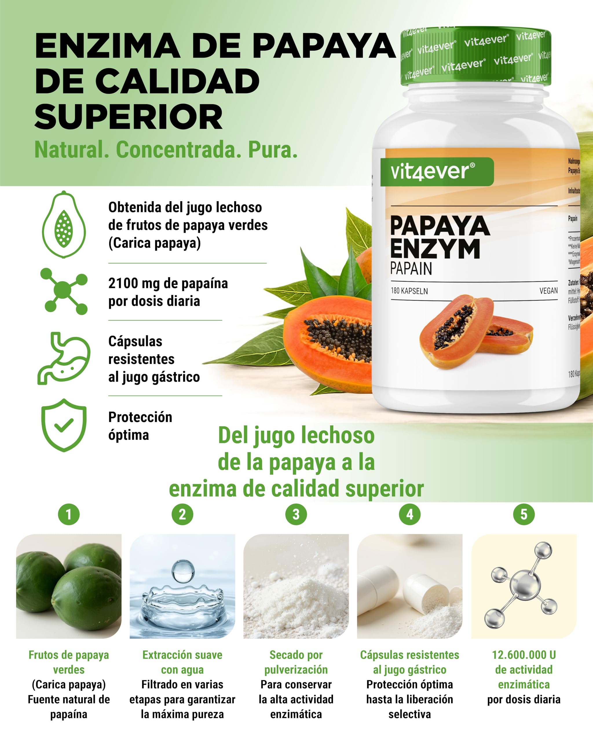vit4ever Enzima de Papaya de Alta Dosis - 2100 mg de Papaína de Papaya - 12.600.000 U de Actividad Enzimática - 180 Cápsulas Veganas Gastrorresistentes - Sin Aditivos Innecesarios