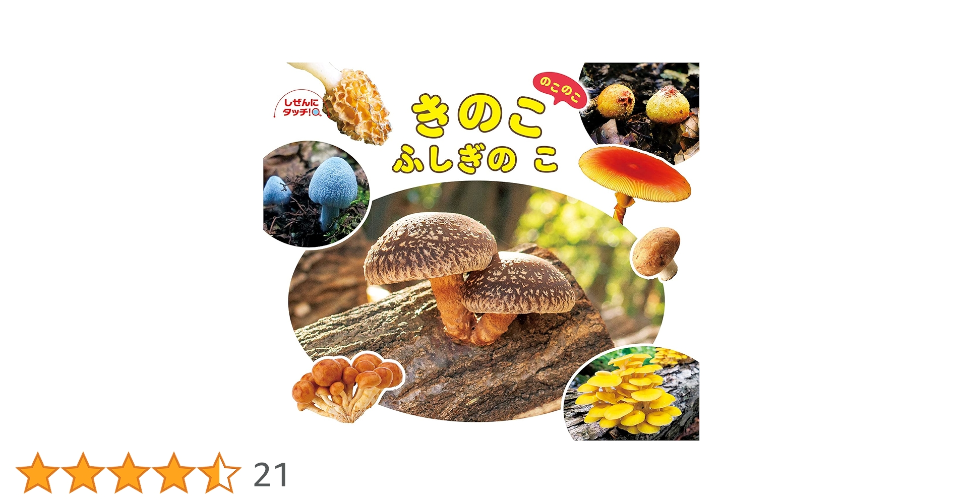 きのこのこのこふしぎのこ (しぜんにタッチ!) | 新井 文彦, 六田 晴洋