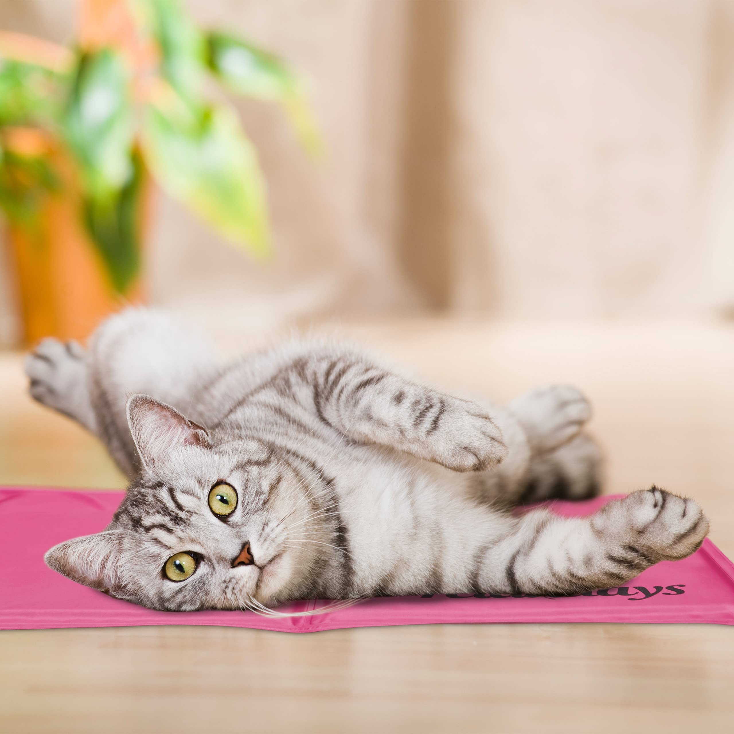 Relaxdays Tappetino Refrigerante per Cani, 20 x 35 cm, Tappeto Rinfrescante con Gel, Materassino Fresco Gatti, Rosa