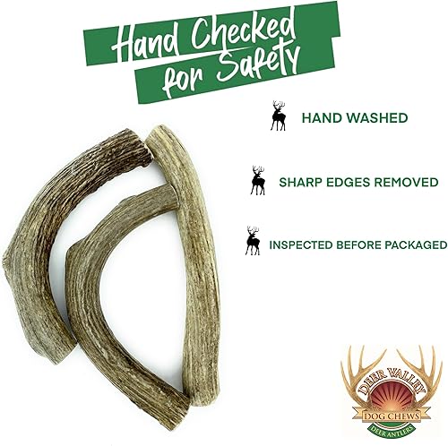 Miniatura 4 de Deer Valley - Masticables para perros (individual gigante, de 8 a 10 pulgadas), cornamenta de ciervo de origen sostenible para razas extra grandes,