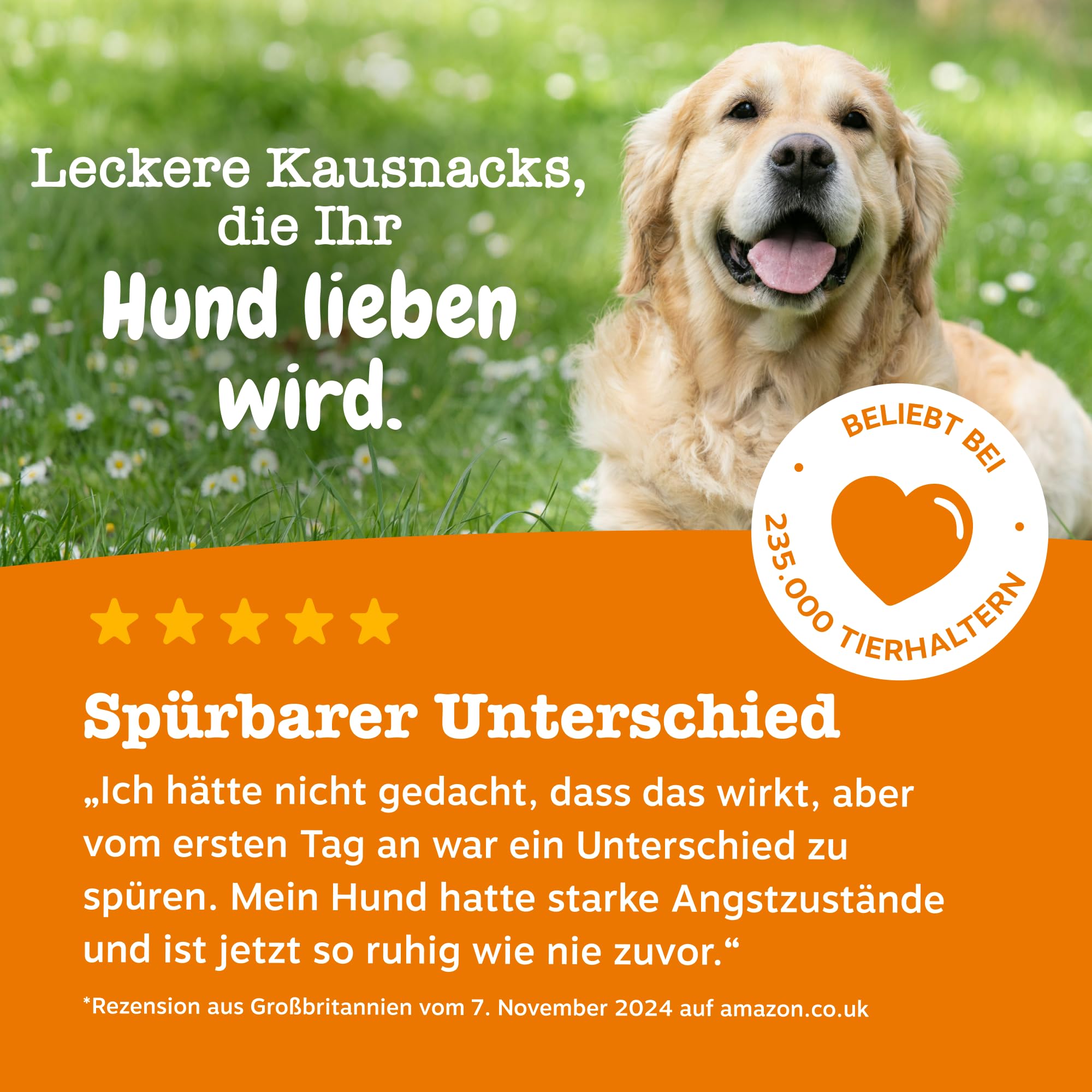 Zesty Paws Beruhigung Dogs | Unterstützt bei Trennungsangst, Stress, Hyperaktivität & Entspannung | Beruhigungsleckerlis mit Ashwagandha, L-Tryptophan & Grüntee | Für Hunde Täglich | 90 Chews