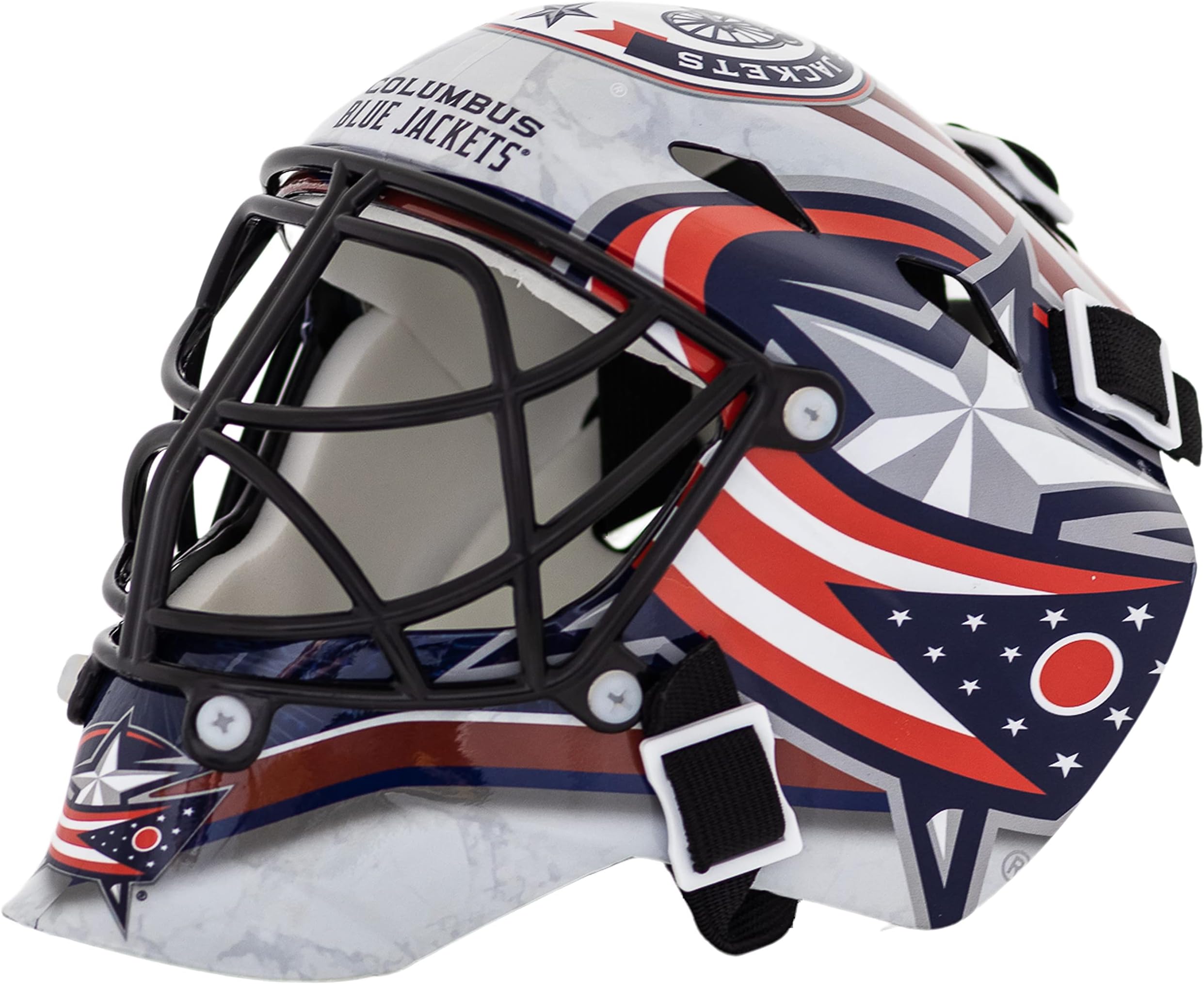 NHL Team Logo Mini Hockey Goalie Mask with Case - Collectible Goalie Mask with Official NHL Logos and Colors