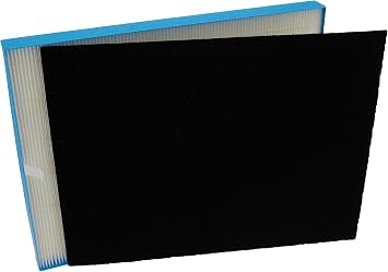 Winix 115122 PlasmaWave Series Long Life Washable Filter Size 21 Carbon Pre-Filter 4, White