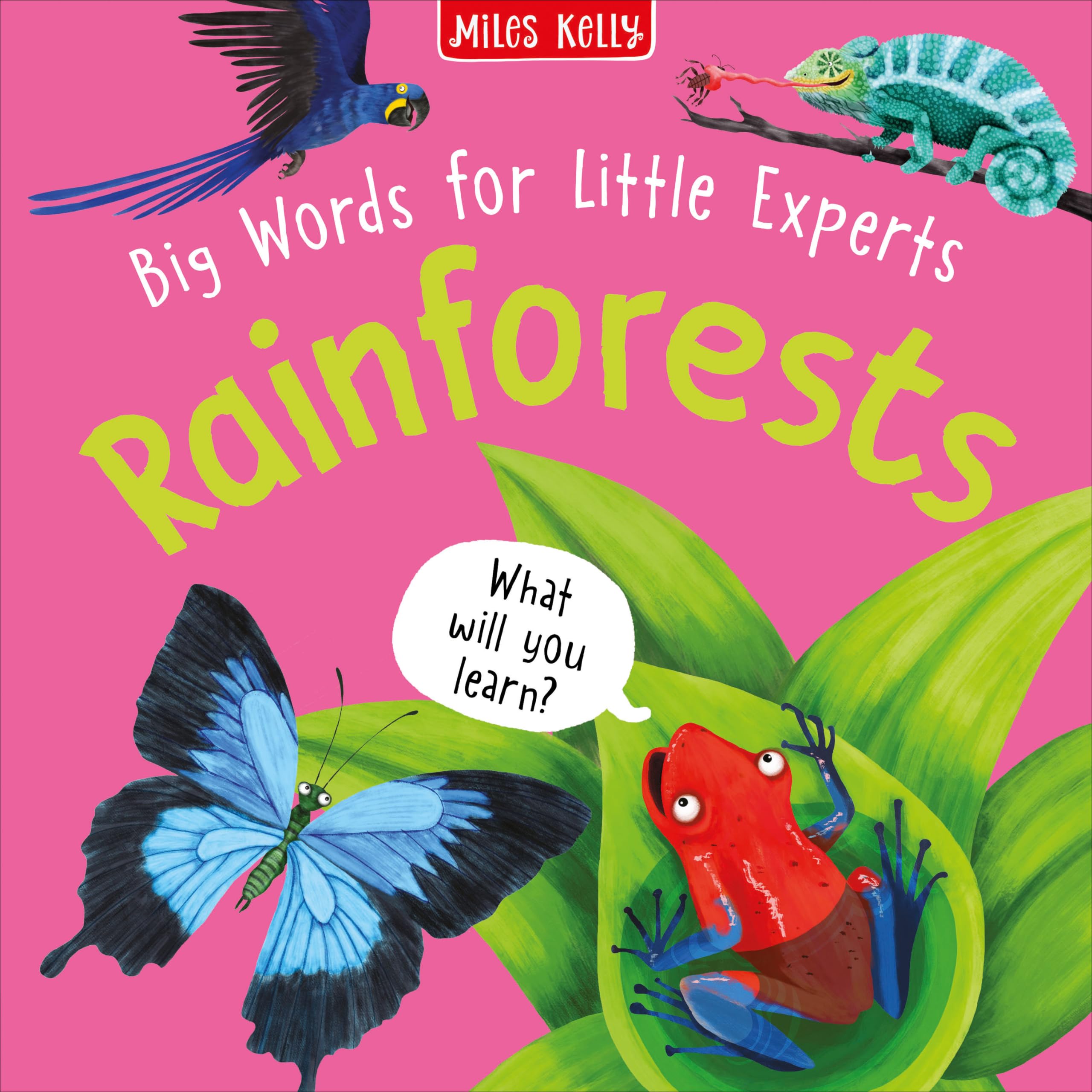 Big Words for Little Experts: Rainforests: A Colourful First Word Book to Boost Your Child’s Vocabulary