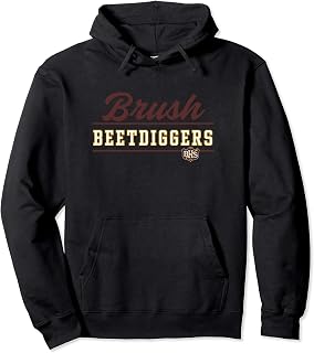 Brush High School Beetdiggers Pullover Hoodie C4
