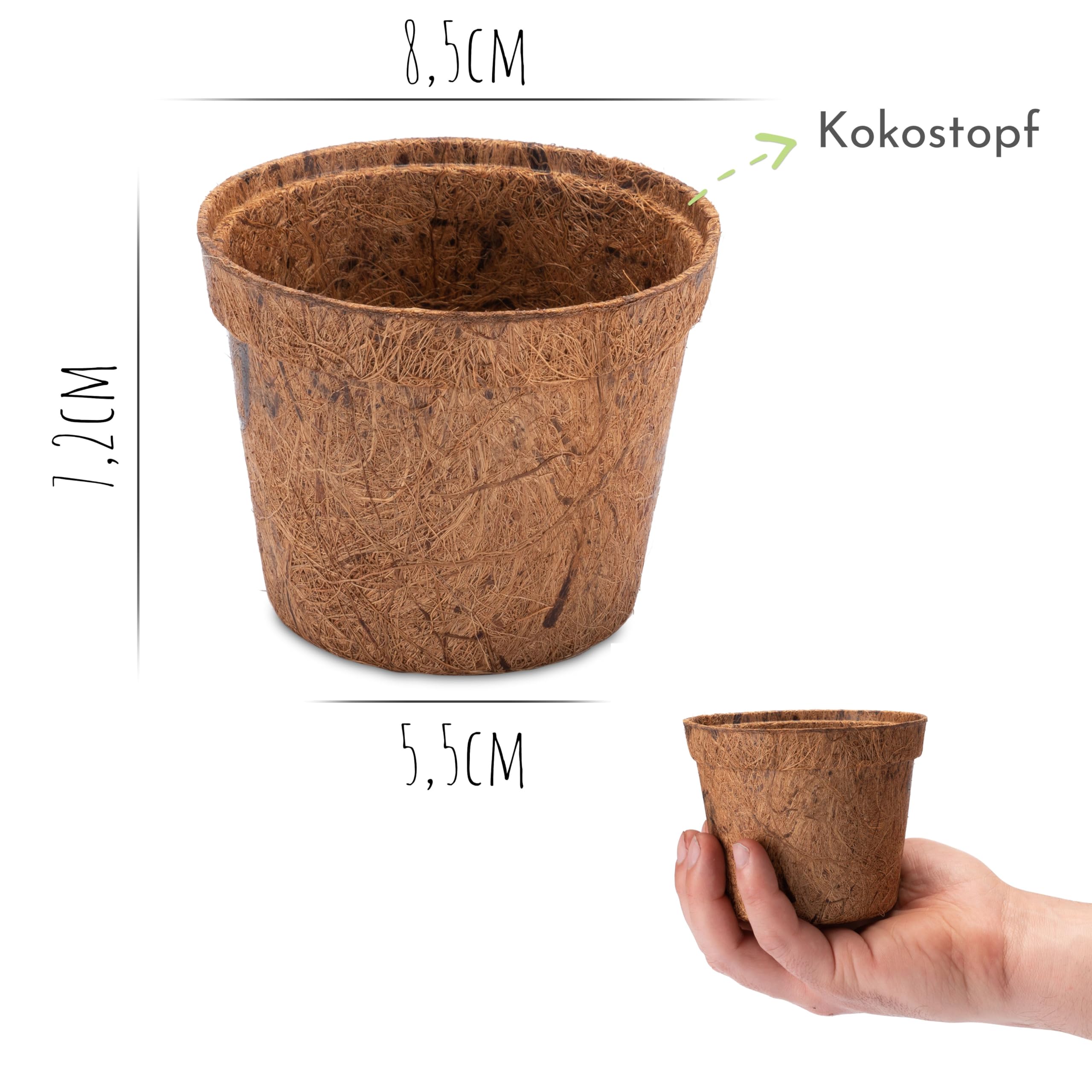 pflanztopf gross mit rollen Rollbarer XL/XXL Pflanzkbel "LIKE" in verschiedenen Farben (whlbar)
