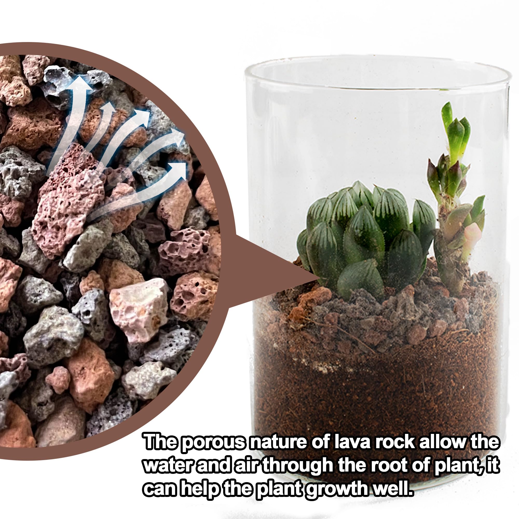 1,4 kg Lavasteine fr Pflanzen - Gartenbau-Vulkankies zur Entwsserung in  Sukkulenten, Bonsai, Terrarien und Landschaftsbau : Amazon.de: Garten