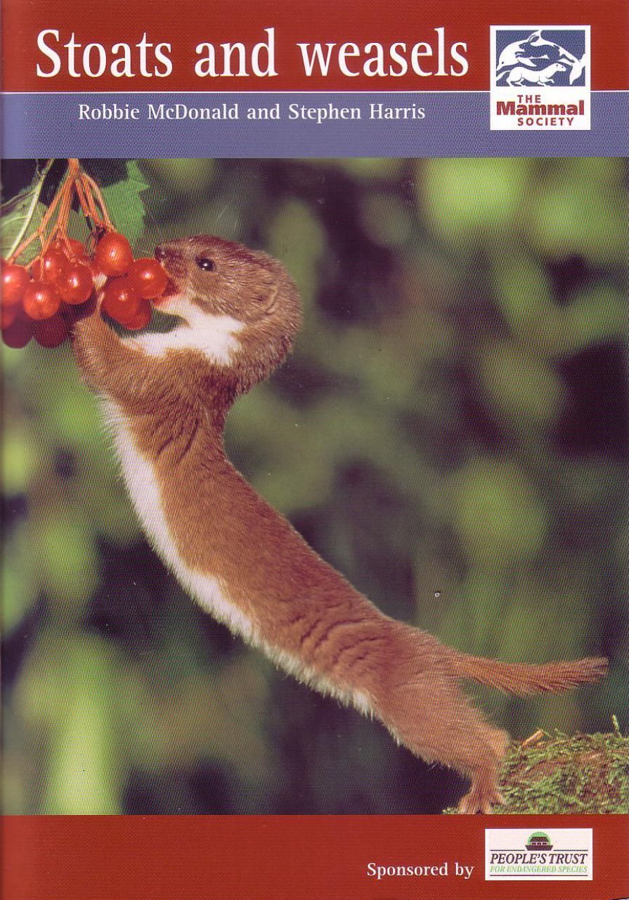 Stoats and Weasels (Mammal Society Species Series)
