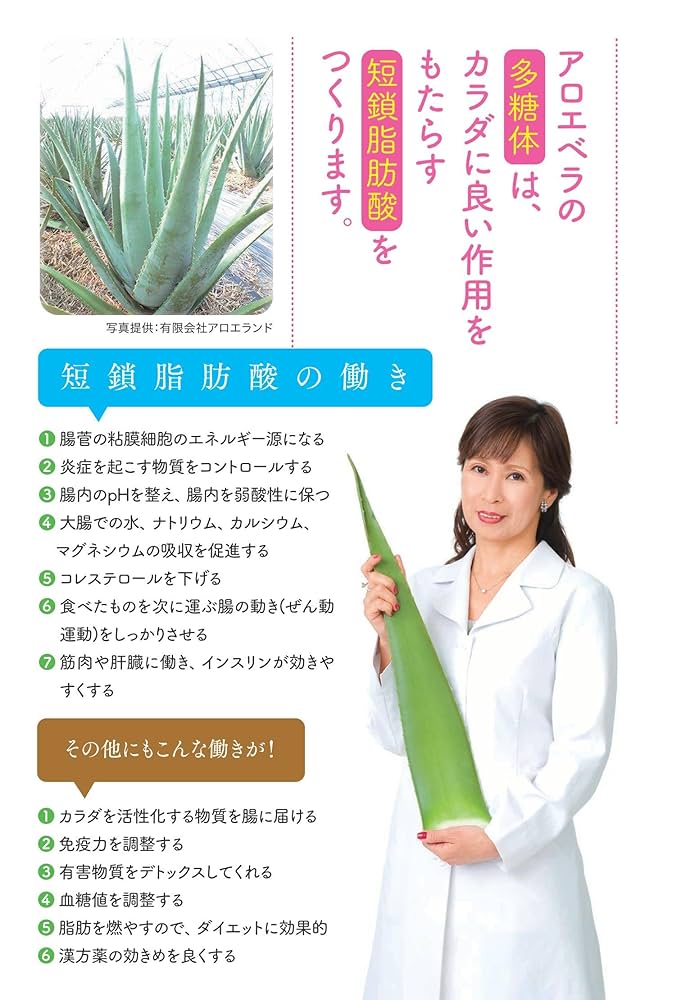 アロエベラ 特製、免疫活性するみたいよ！アロエ85以上の微量栄養素、 腸内環境を変えたい人はアロエベラを食べなさい 「奇跡の植物