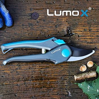 negiフォーム Bloom