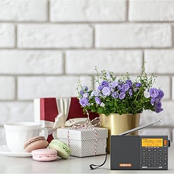 Amazon.co.jp: XHDATA D-808 ポケットラジオ FM AM SW LW エア