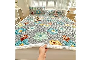 Japanese Winter Milk Velvet Floor Mattress and Pillowcase Set