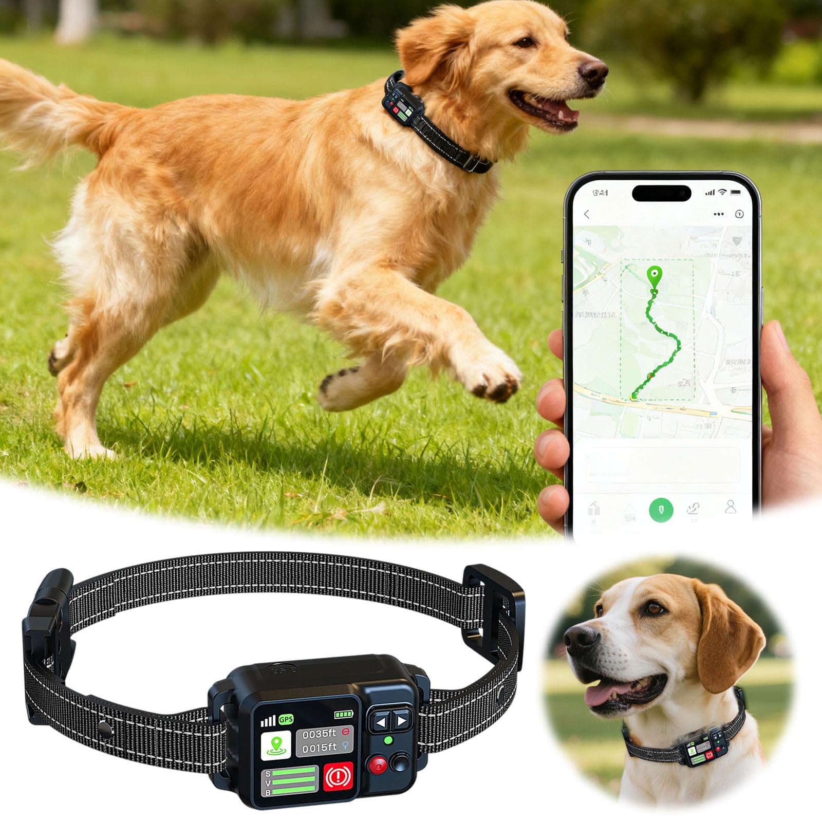 2026 Clôture pour chien sans fil avec collier Clôture circulaire jusqu'à 2000 m Mode de positionnement pour l'extérieur (noir, 22 x 10 x 5 cm)
