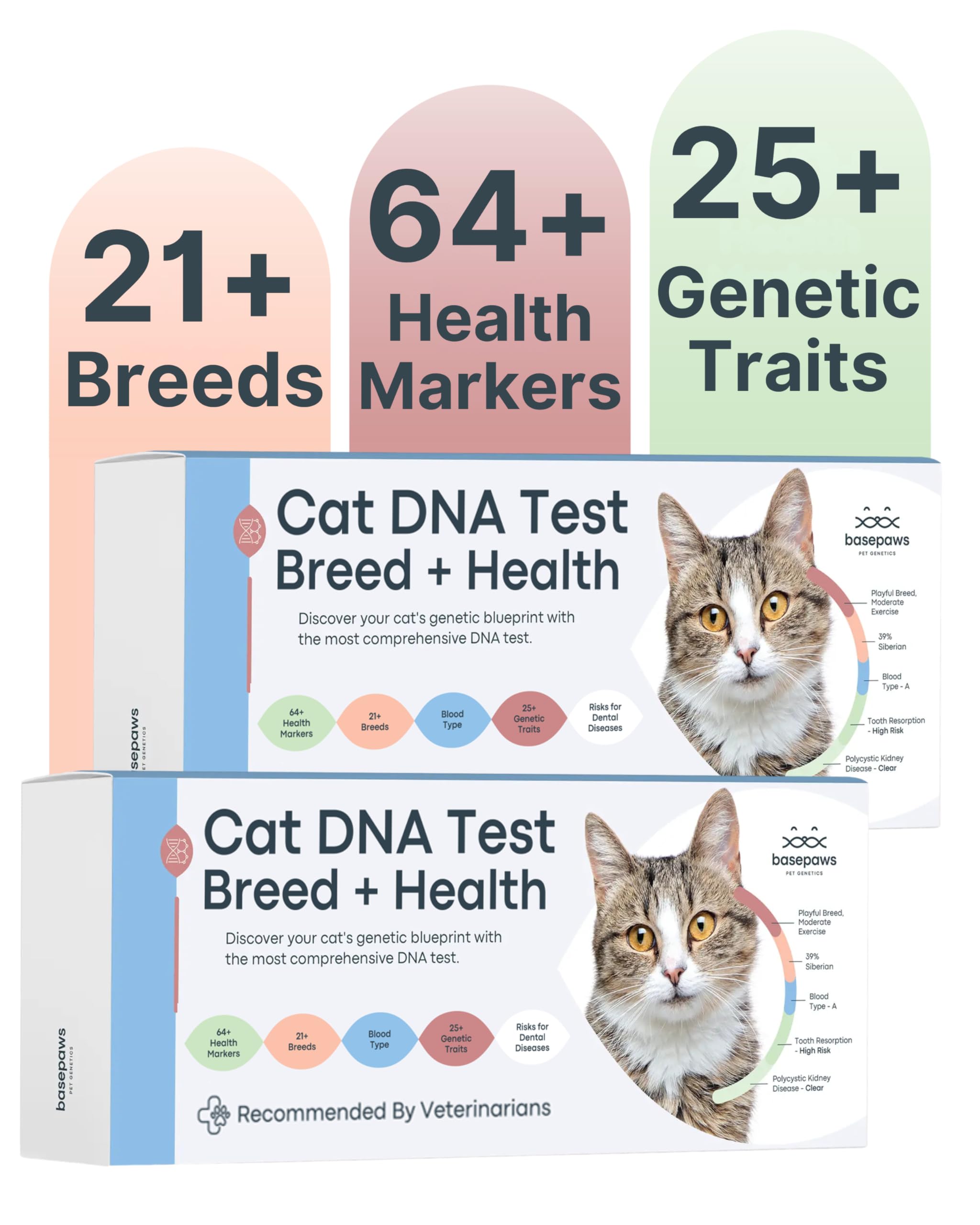 Basepaws Cat DNA Test Kit 2 Pack- Comprehensive Breed, Health and Dental Analysis Across 114 Traits for Accurate and Easy-to-Use Genetic Insights