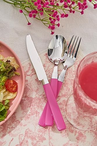 Miniatura 6 de ANNOVA Juego de cubiertos de acero inoxidable de 16 piezas, asas de color, 4 tenedores de cena, 4 cuchillos de mesa, 4 cucharas, 4 cucharaditas,