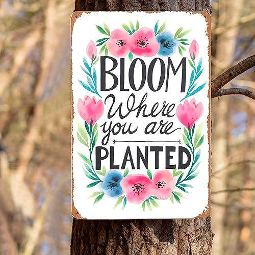 Miniatura 8 de Letrero de metal de inspiración de jardín, 8 x 12 pulgadas, "Bloom Where Planted", decoración rústica de pared para invernadero, porche y estética